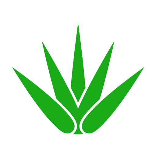 台湾アガベ輸入代行 by Pangoo