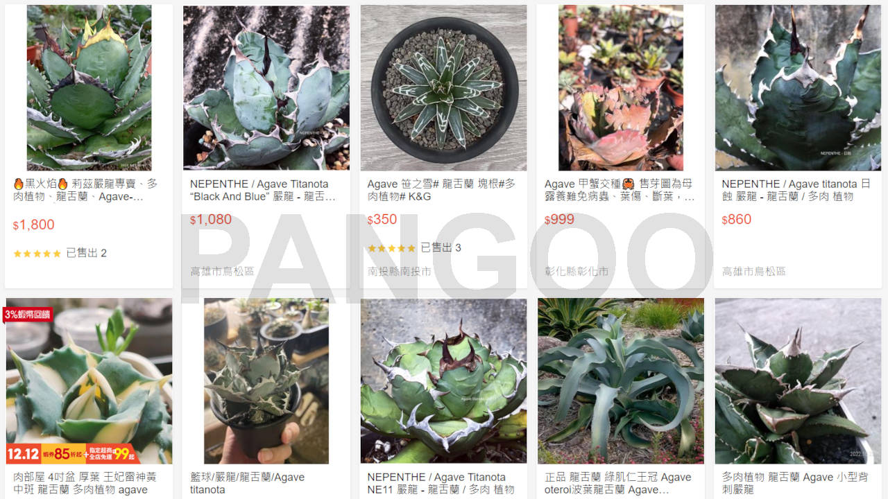 台湾取引サイト「Shopee (蝦皮、ショッピー)」での検索結果